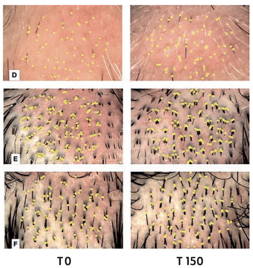 Clinical testing timeline and methodology